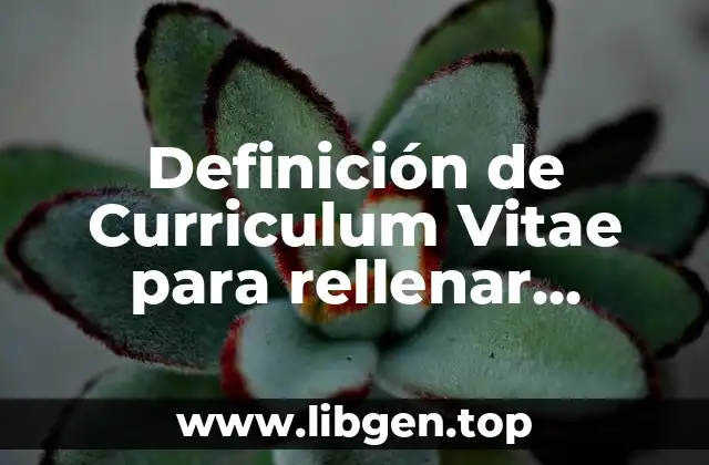 Definición de Curriculum Vitae para rellenar prácticas profesionales