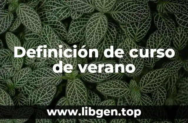 Definición de curso de verano