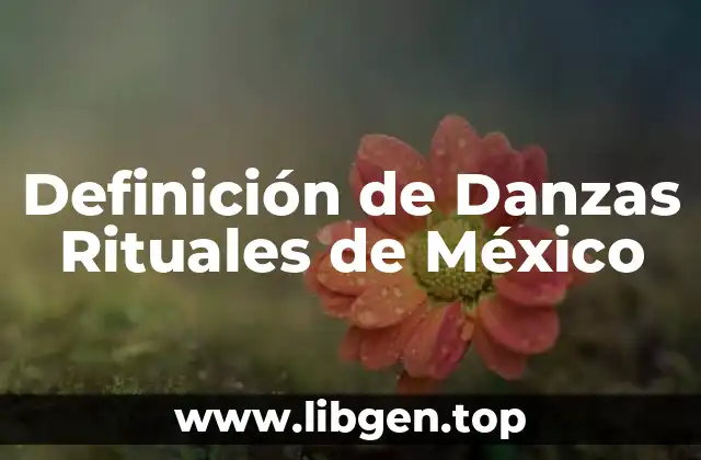 Definición técnica de Danzas Rituales de México