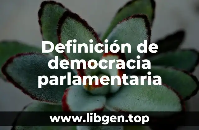 Definición de democracia parlamentaria