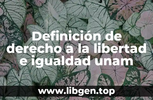 Definición de derecho a la libertad e igualdad unam