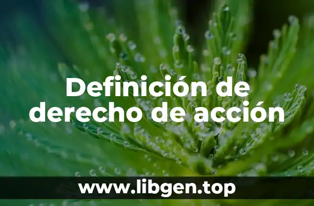 Definición de derecho de acción