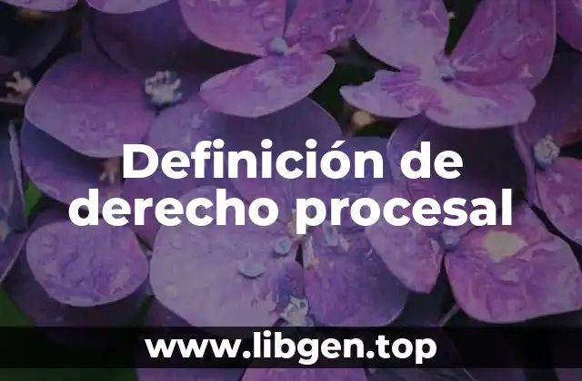 Definición de derecho procesal