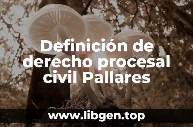 Definición de derecho procesal civil Pallares
