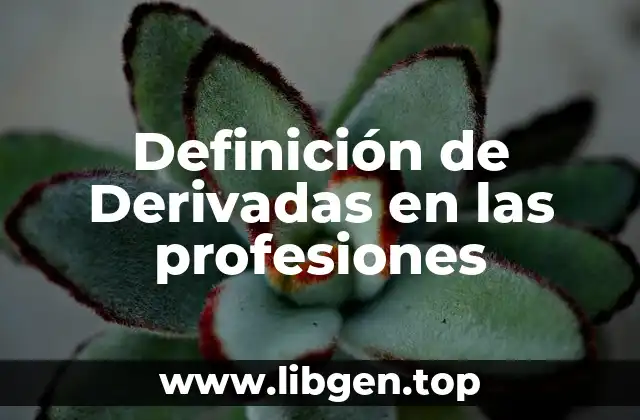 Definición de Derivadas en las profesiones