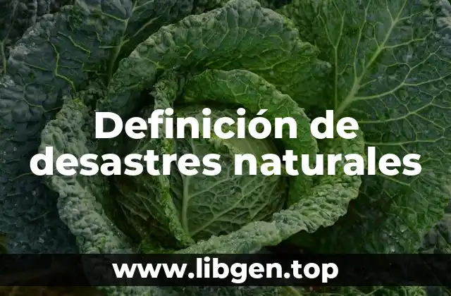 Definición de desastres naturales