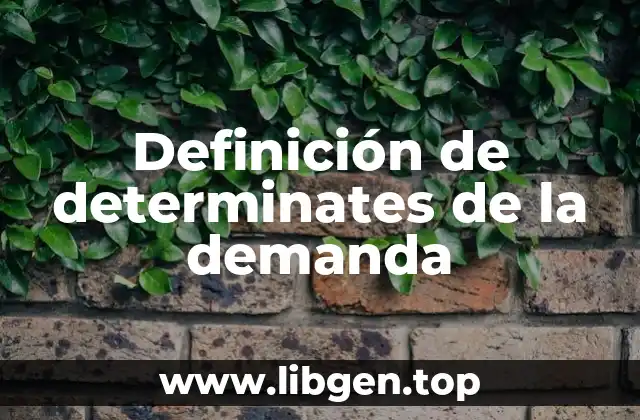 Definición de determinates de la demanda