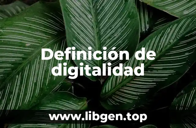 Definición de digitalidad