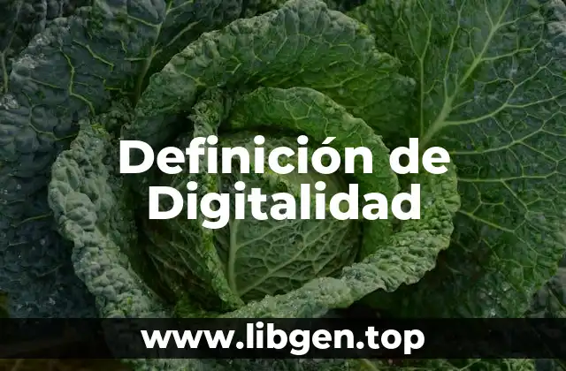 Definición técnica de Digitalidad