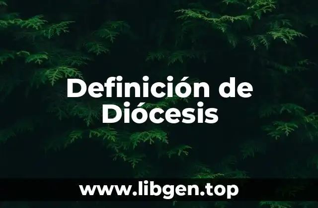 Definición de Diócesis