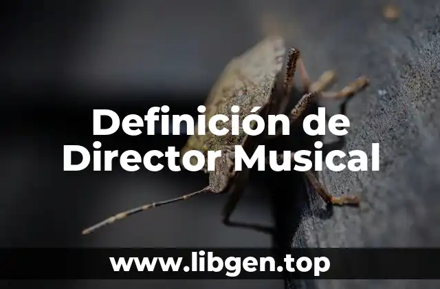 Definición de Director Musical