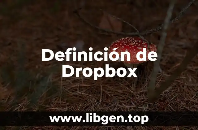 Definición de Dropbox