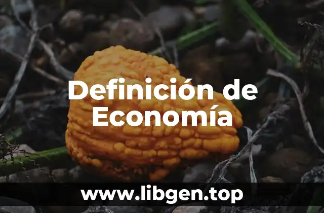 Definición de Economía