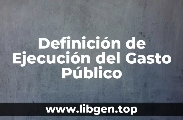 Definición de Ejecución del Gasto Público