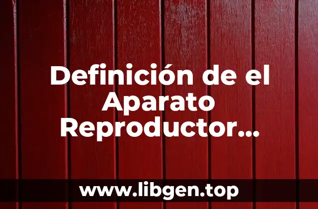 Definición de el Aparato Reproductor Masculino