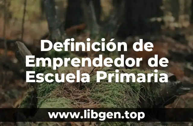 Definición de Emprendedor de Escuela Primaria