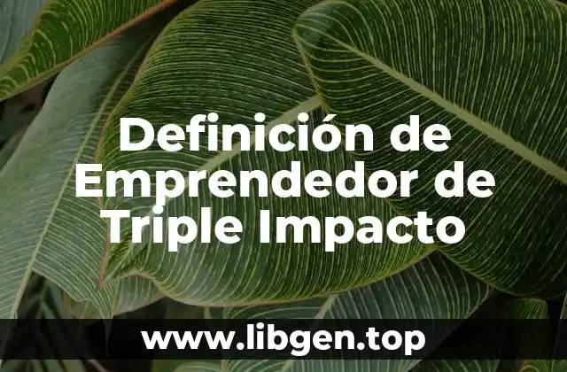 Definición de Emprendedor de Triple Impacto