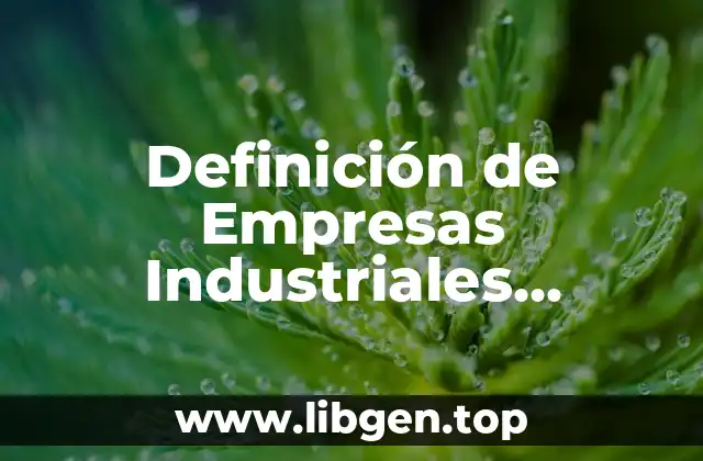 Definición de Empresas Industriales Extractivas en México