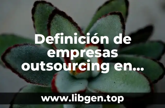 Definición de empresas outsourcing en México