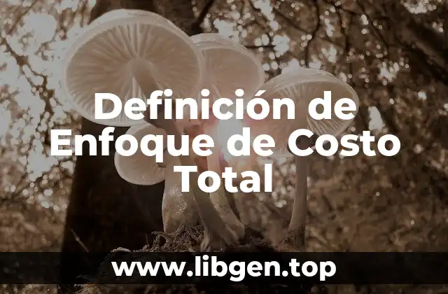 Definición de Enfoque de Costo Total