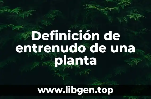 Definición de entrenudo de una planta