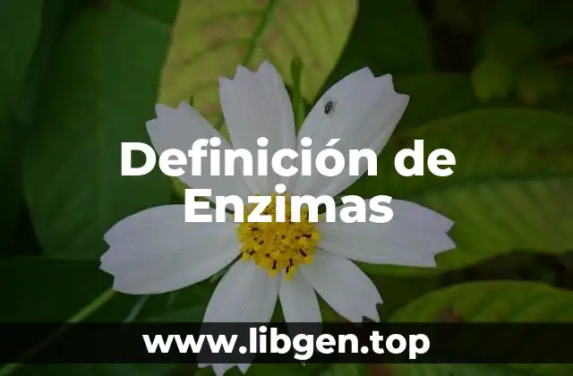 Definición de Enzimas