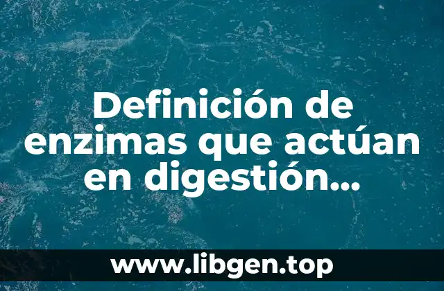 Definición de enzimas que actúan en digestión encimática