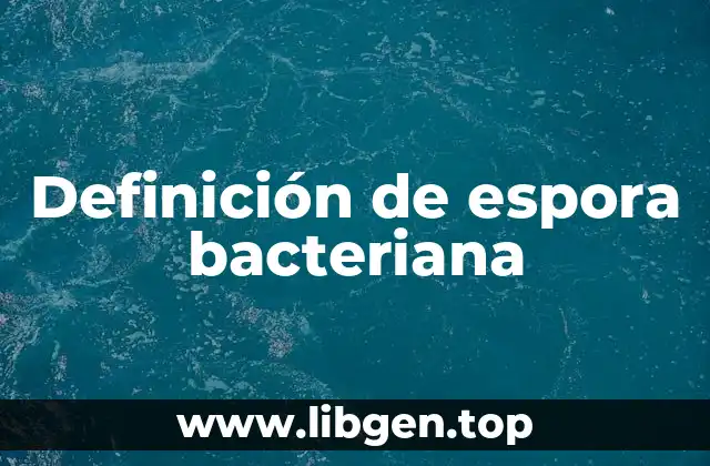 Definición de espora bacteriana