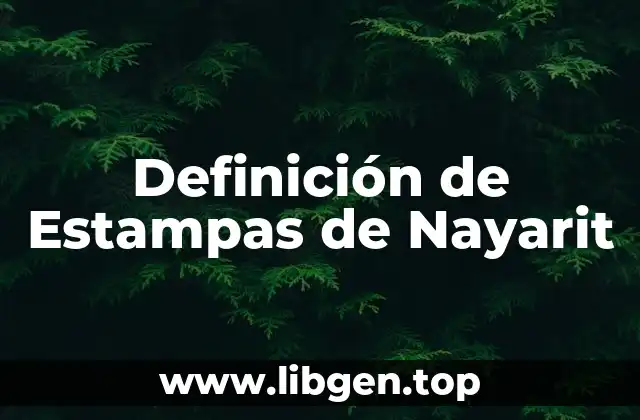 Definición técnica de Estampas de Nayarit