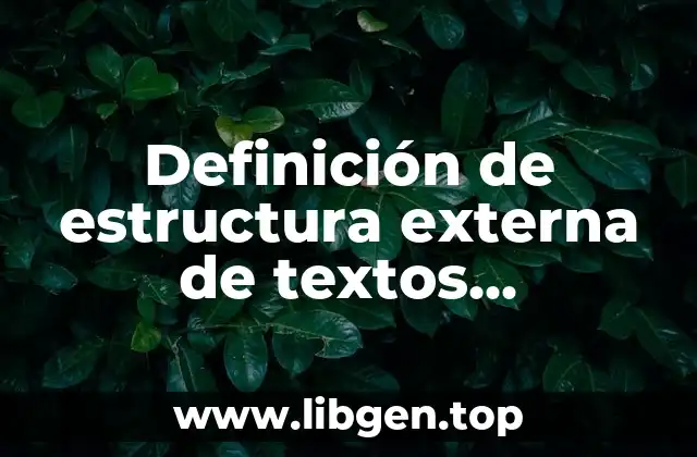 Definición de estructura externa de textos funcionales