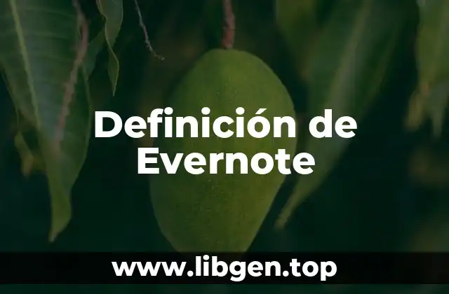 Definición técnica de Evernote