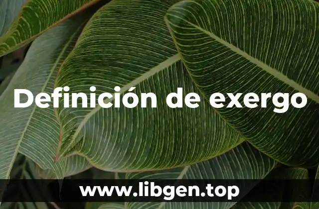 Definición de exergo