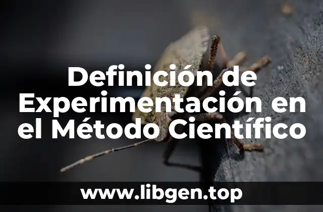 Definición de Experimentación en el Método Científico
