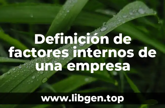 Definición de factores internos de una empresa