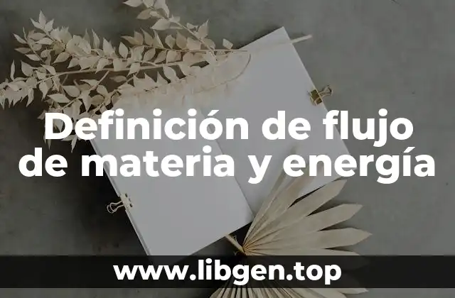 Definición de flujo de materia y energía