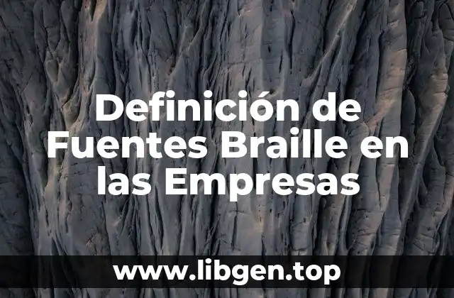 Definición de Fuentes Braille en las Empresas