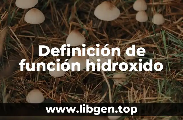 Definición de función hidroxido