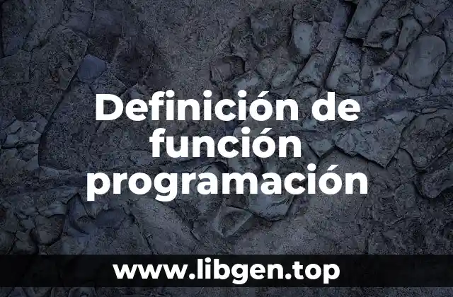 Definición de función programación