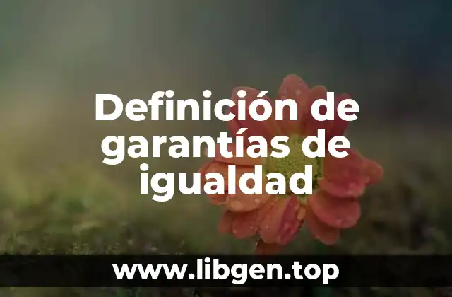 Definición de garantías de igualdad