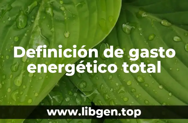 Definición de gasto energético total