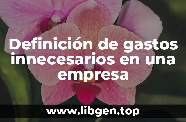 Definición de gastos innecesarios en una empresa