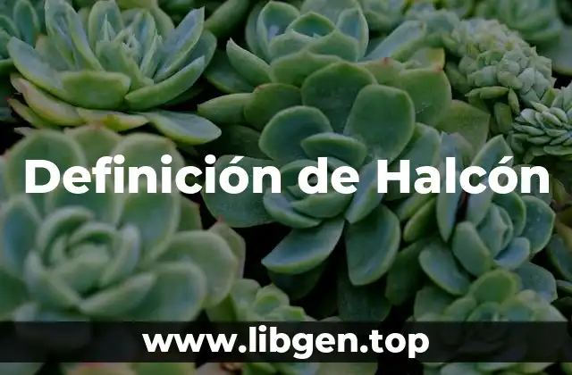 Definición de Halcón