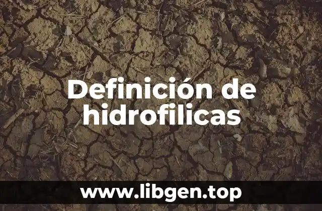 Definición de hidrofilicas