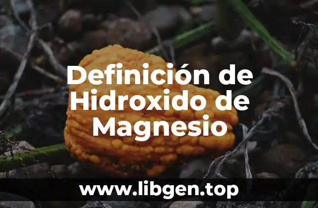 Definición de Hidroxido de Magnesio
