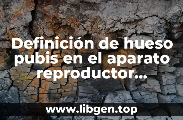 Definición de hueso pubis en el aparato reproductor masculino