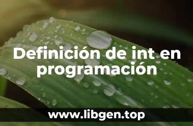 Definición de int en programación