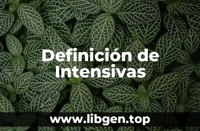 Definición técnica de Intensivas