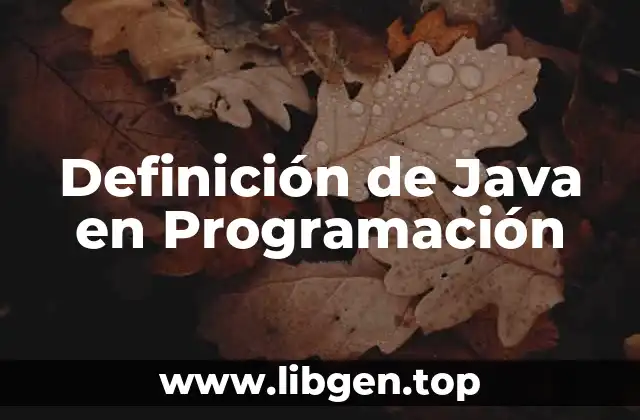 Definición Técnica de Java