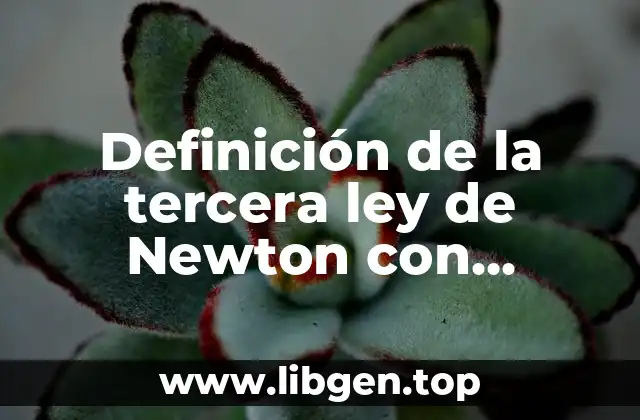 Definición de la tercera ley de Newton con ecuaciones