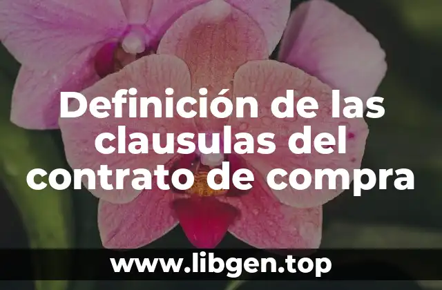 Definición de las clausulas del contrato de compra